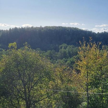 Noclegi U Ewusi Januszowice  Buitenkant foto